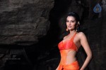 Kattu Puli Tamil Movie Spicy Stills - 1 of 49