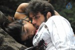 Kattu Puli Tamil Movie Spicy Stills - 2 of 49