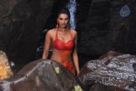 Kattu Puli Tamil Movie Spicy Stills - 4 of 49