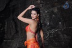 Kattu Puli Tamil Movie Spicy Stills - 10 of 49