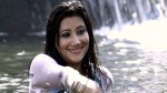 Kattu Puli Tamil Movie Spicy Stills - 13 of 49