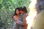 Kattu Puli Tamil Movie Spicy Stills - 17 of 49