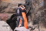 Kattu Puli Tamil Movie Spicy Stills - 27 of 49