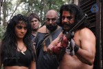 Kattu Puli Tamil Movie Spicy Stills - 34 of 49
