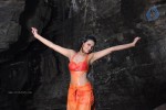 Kattu Puli Tamil Movie Spicy Stills - 45 of 49