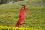 Kavya Singh New Hot Gallery - 58 of 100