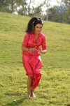Kavya Singh New Hot Gallery - 62 of 100