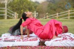 Kavya Singh New Hot Gallery - 68 of 100
