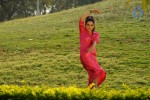 Kavya Singh New Hot Gallery - 71 of 100