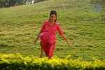 Kavya Singh New Hot Gallery - 77 of 100