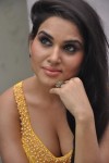 Kavya Singh Spicy Gallery - 1 of 76