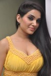 Kavya Singh Spicy Gallery - 45 of 76