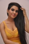 Kavya Singh Spicy Gallery - 62 of 76