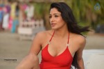 Kesha Khambhati Hot Photos - 7 of 19