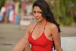 Kesha Khambhati Hot Photos - 12 of 19