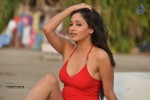 Kesha Khambhati Hot Photos - 16 of 19