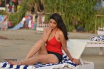 Kesha Khambhati Hot Photos - 18 of 19