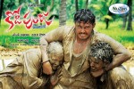 Kodi Punju Movie Spicy Song Stills - 6 of 48