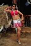 Kodi Punju Movie Spicy Song Stills - 29 of 48