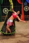 Kodi Punju Movie Spicy Song Stills - 11 of 48