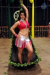 Kodi Punju Movie Spicy Song Stills - 33 of 48