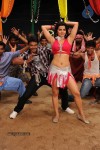 Kodi Punju Movie Spicy Song Stills - 29 of 48