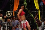 Kodi Punju Movie Spicy Song Stills - 31 of 48