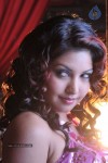 Komal Jha Hot Photos - 14 of 40