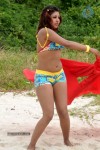 Komal Jha New Spicy Photos - 36 of 66