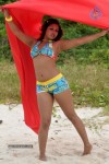 Komal Jha New Spicy Photos - 44 of 66