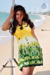Komal Jha New Spicy Photos - 57 of 66