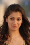 Lakshmi Rai Hot Photos - 35 of 51
