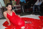 Madhavi Sharma Hot Photos - 24 of 36