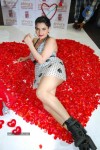 Madhavi Sharma Hot Photos - 25 of 36