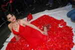 Madhavi Sharma Hot Photos - 34 of 36