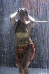 Madhu Sharma Spicy Photos - 30 of 30