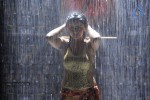 Madhu Sharma Spicy Photos - 32 of 30
