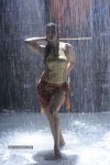 Madhu Sharma Spicy Photos - 35 of 30