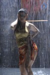 Madhu Sharma Spicy Photos - 38 of 30