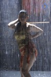 Madhu Sharma Spicy Photos - 39 of 30