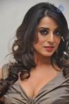 Mahi Gill Hot Stills - 20 of 81