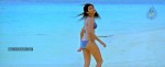 Mogudu Movie Spicy Song Stills - 4 of 58