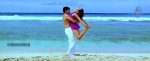 Mogudu Movie Spicy Song Stills - 7 of 58