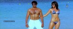 Mogudu Movie Spicy Song Stills - 12 of 58