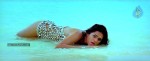 Mogudu Movie Spicy Song Stills - 14 of 58