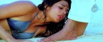 Mogudu Movie Spicy Song Stills - 45 of 58