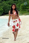 Komal Jha New Spicy Stills - 57 of 57