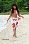 Komal Jha New Spicy Stills - 58 of 57