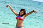 Komal Jha Spicy Gallery - 17 of 106