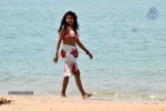 Komal Jha Spicy Gallery - 18 of 106